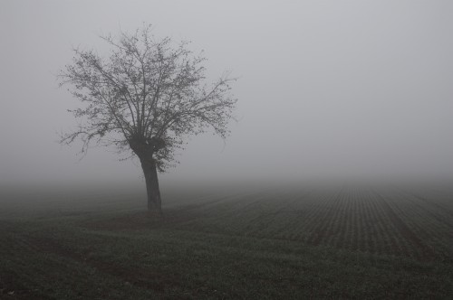 Quando la nebbia era una costante – Dario Bilotti